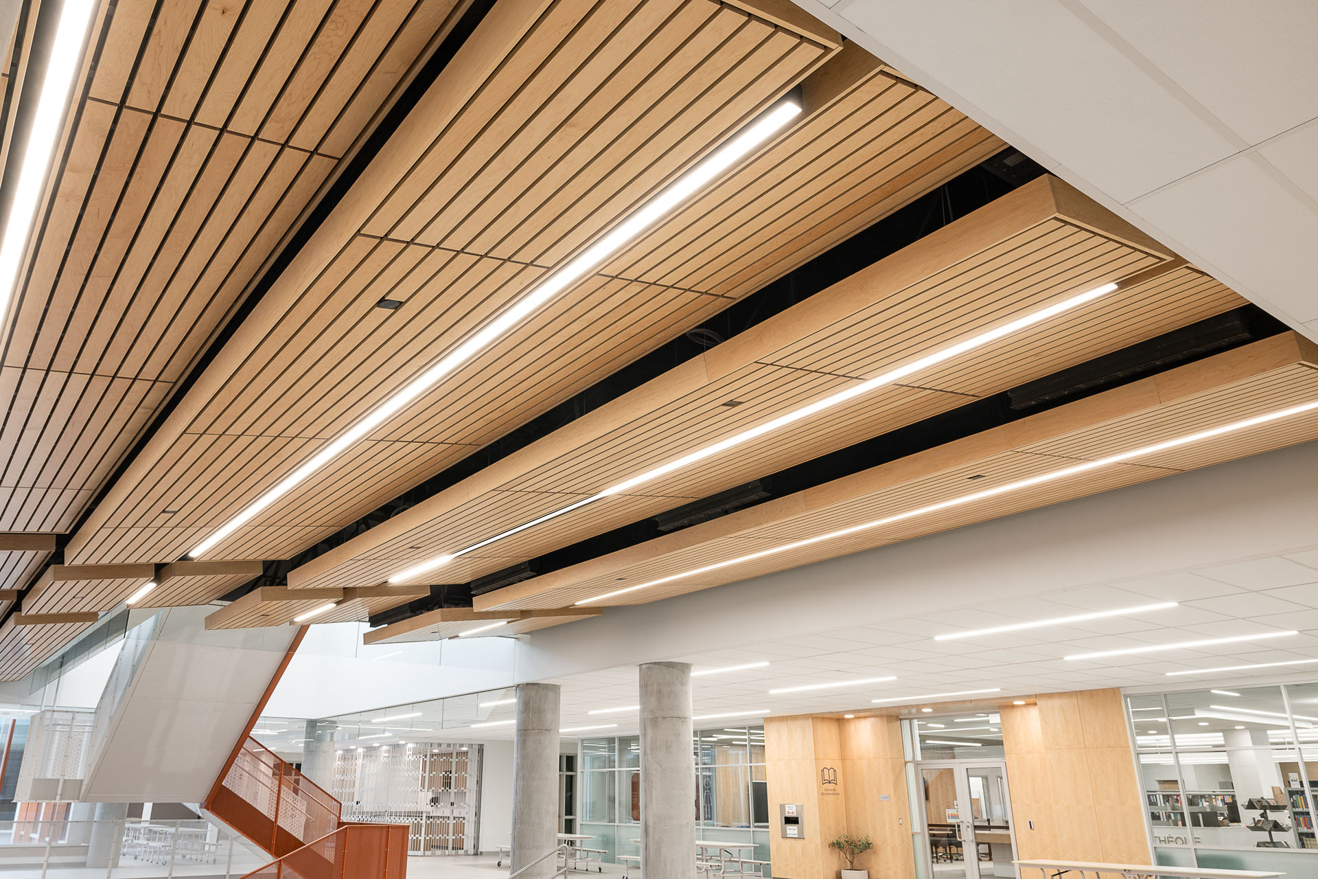 Ecole Mtl-Nord x Woodzco_2